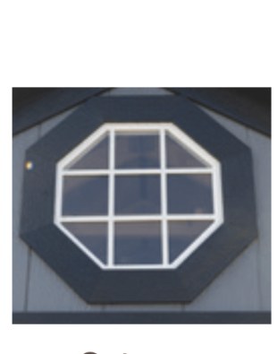 Octagon